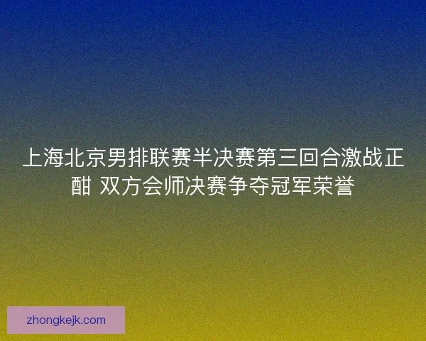 上海北京男排联赛半决赛第三回合激战正酣 双方会师决赛争夺冠军荣誉