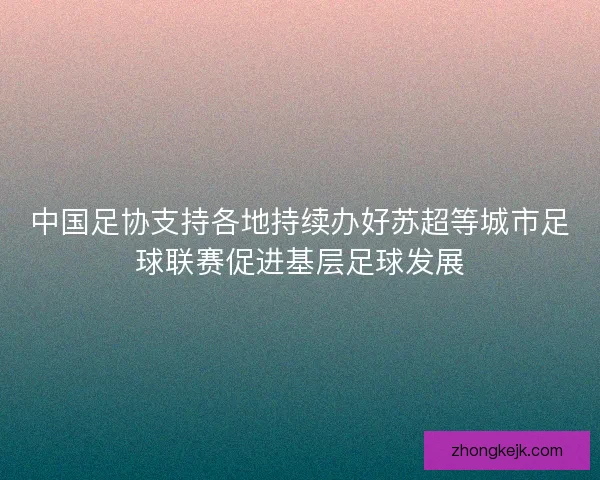 中国足协支持各地持续办好苏超等城市足球联赛促进基层足球发展