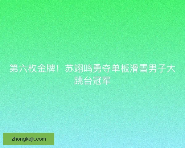 第六枚金牌!苏翊鸣勇夺单板滑雪男子大跳台冠军 第六枚金牌!苏翊鸣勇夺单板滑雪男子大跳台冠军