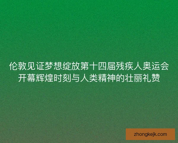 伦敦见证梦想绽放第十四届残疾人奥运会开幕辉煌时刻与人类精神的壮丽礼赞 伦敦见证梦想绽放第十四届残疾人奥运会开幕辉煌时刻与人类精神的壮丽礼赞