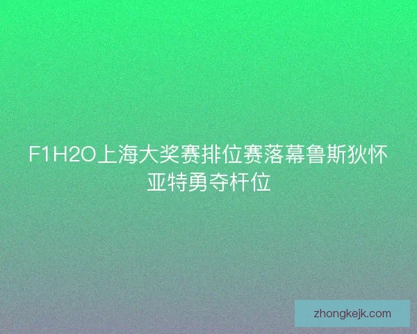 F1H2O上海大奖赛排位赛落幕鲁斯狄怀亚特勇夺杆位